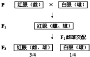 菁優(yōu)網