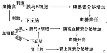 如九为人体内血糖的调节示意九,序号表示生理过程