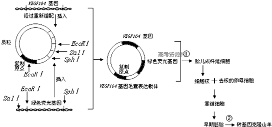 2014年福建省漳州五中高考生物模擬試卷 - 高中生物 - 菁優網