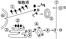 菁優(yōu)網(wǎng)