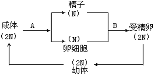 菁優(yōu)網(wǎng)