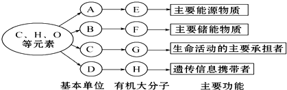 菁優(yōu)網(wǎng)