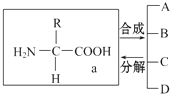 菁優(yōu)網(wǎng)