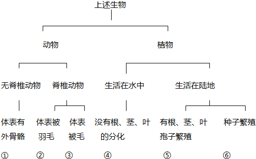 菁優(yōu)網