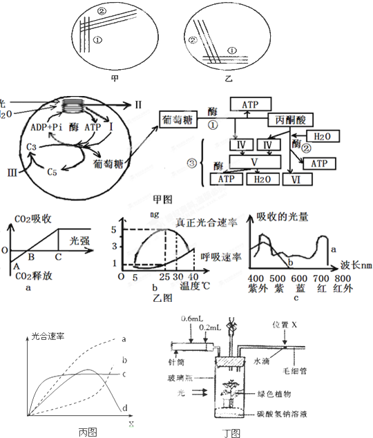 菁優(yōu)網(wǎng)