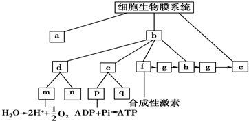 菁優(yōu)網(wǎng)