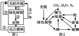 菁優(yōu)網(wǎng)