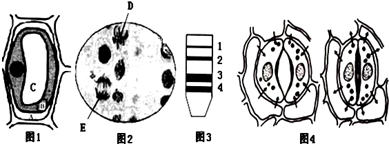 菁优网