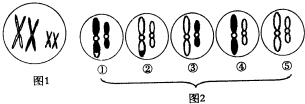 菁優(yōu)網