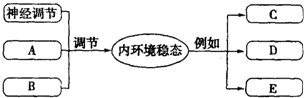 菁優(yōu)網(wǎng)