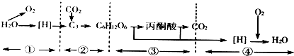 菁優(yōu)網(wǎng)