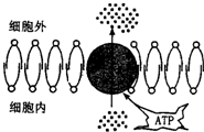 菁優(yōu)網(wǎng)