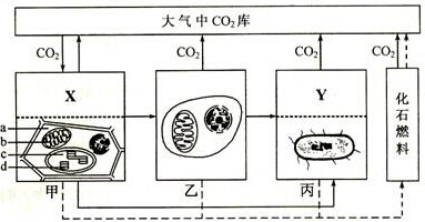 菁優(yōu)網(wǎng)