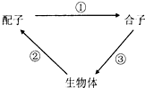 菁優(yōu)網(wǎng)