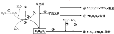 菁優(yōu)網(wǎng)