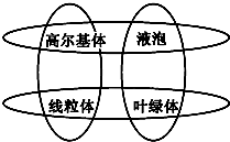 菁優(yōu)網(wǎng)