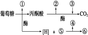 菁優(yōu)網(wǎng)