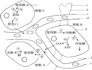 菁優(yōu)網(wǎng)