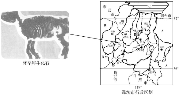 菁優(yōu)網