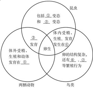 比较昆虫,两栖动物,鸟类的生殖与发育,完成图.