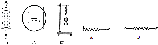 八年级物理弹力和弹簧测力计(1)
