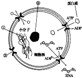 菁優(yōu)網(wǎng)