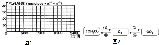 菁優(yōu)網