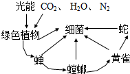 菁優(yōu)網(wǎng)