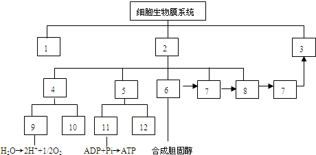 菁優(yōu)網(wǎng)