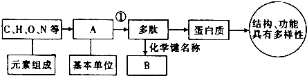 菁優(yōu)網(wǎng)