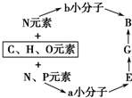 菁優(yōu)網(wǎng)