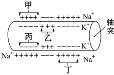 菁優(yōu)網(wǎng)