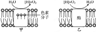 菁優(yōu)網(wǎng)