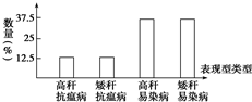 菁優(yōu)網