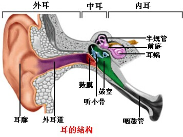 0级特大地震后,牵动着亿万人民的心,大批武警官兵