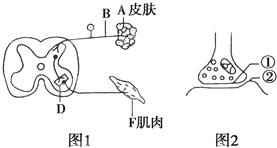 菁優(yōu)網(wǎng)