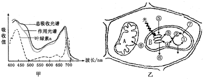 菁優(yōu)網(wǎng)