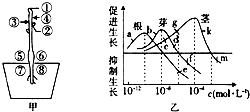 菁優(yōu)網(wǎng)