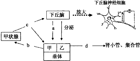 菁優(yōu)網(wǎng)