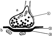 菁優(yōu)網(wǎng)