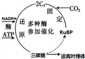 菁優(yōu)網(wǎng)