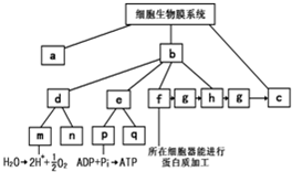 菁優(yōu)網(wǎng)