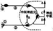 菁優(yōu)網(wǎng)