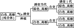 菁優(yōu)網