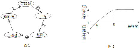 菁優(yōu)網(wǎng)