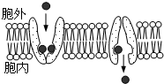 菁優(yōu)網(wǎng)