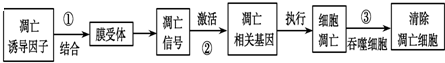 菁優(yōu)網