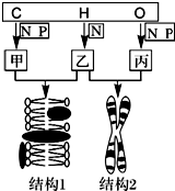 菁優(yōu)網