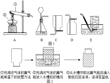 小学三年级科学下册教案青岛版_小学人教版二年级语文下册教案_人教版小学科学三年级下册第三单元教案下载