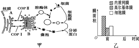 菁優(yōu)網(wǎng)